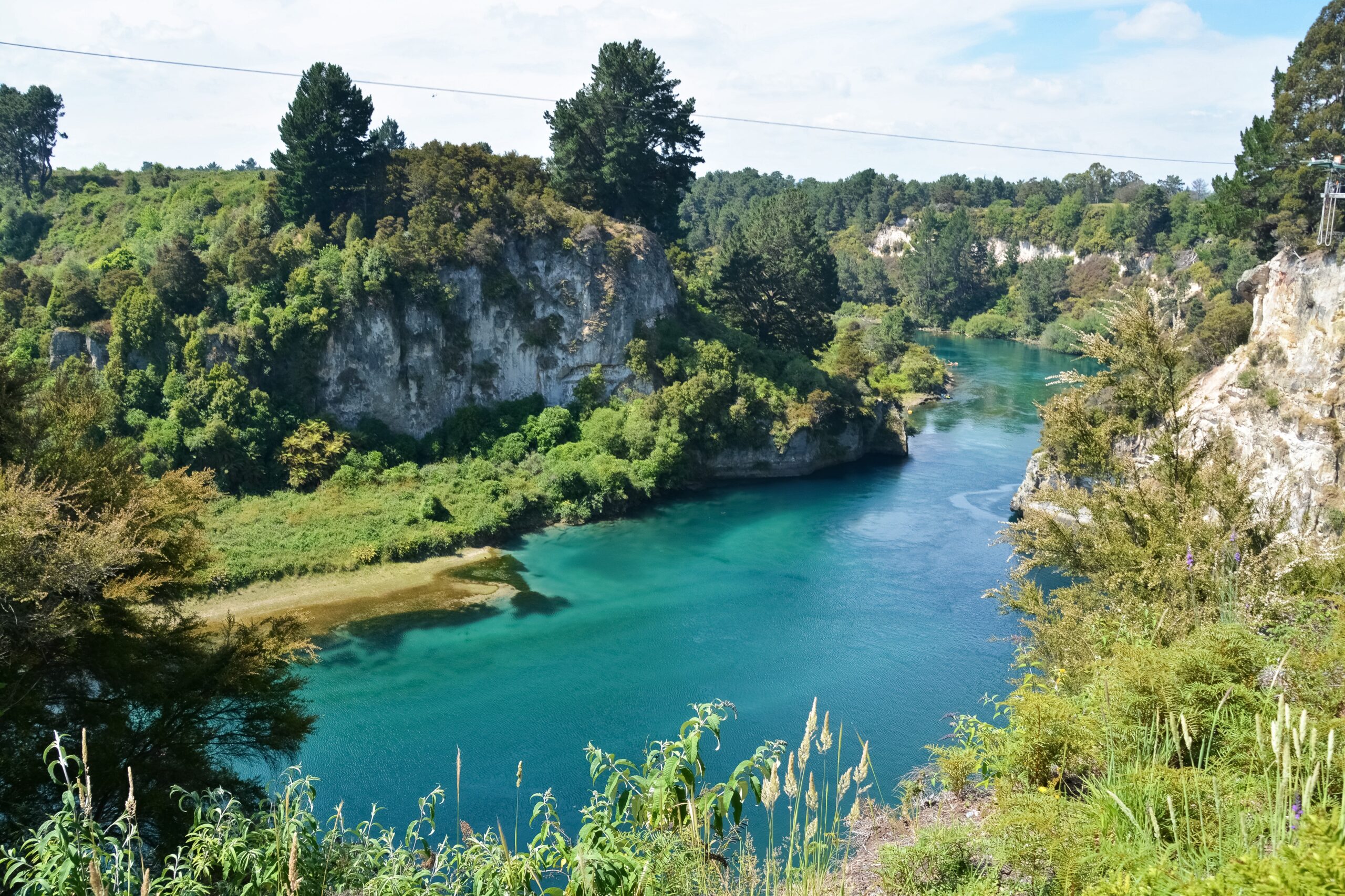 green lake surrounded by green trees during daytime