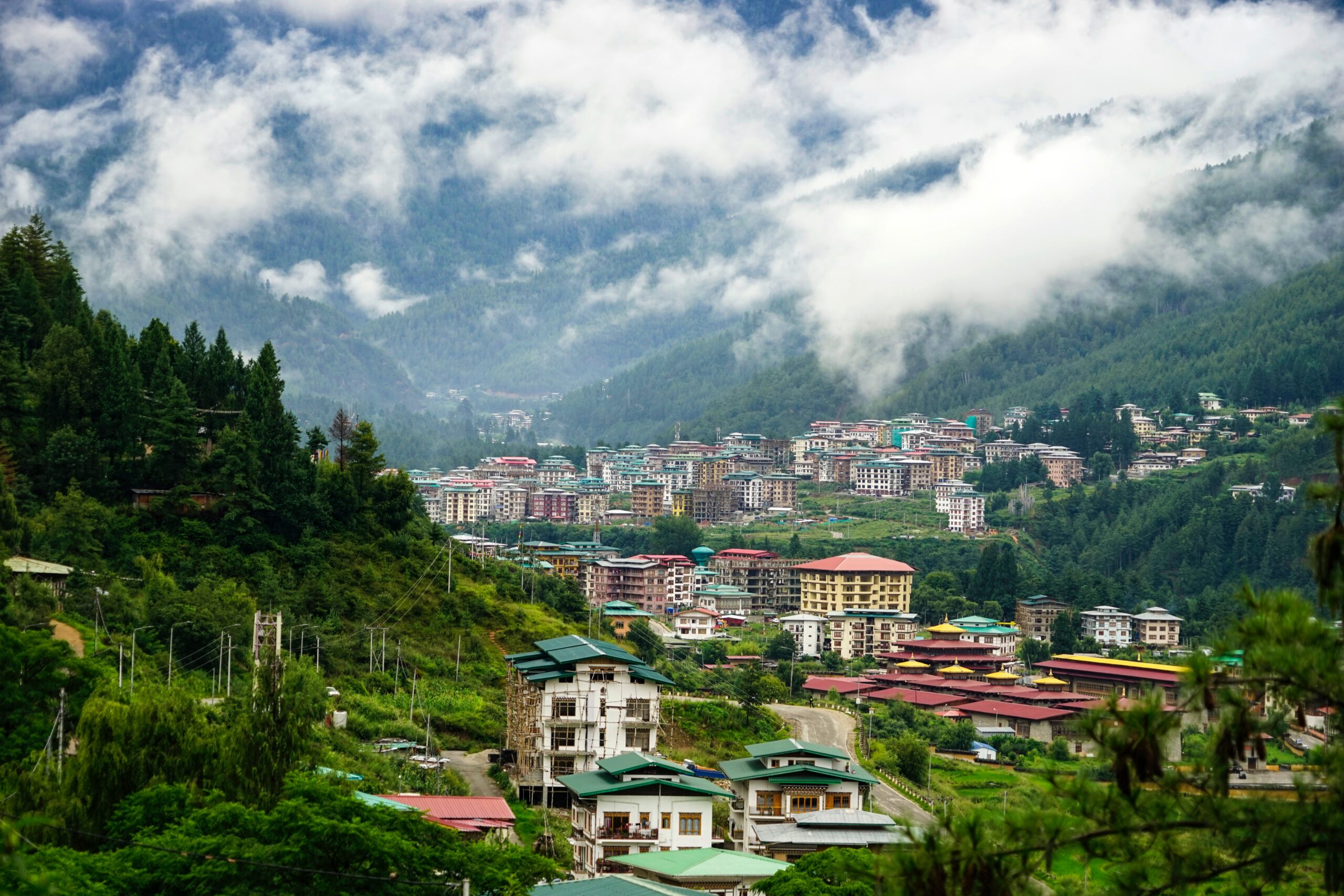 white and brown concrete houses near green trees under white clouds during daytime